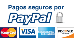 PayPal logo 2
