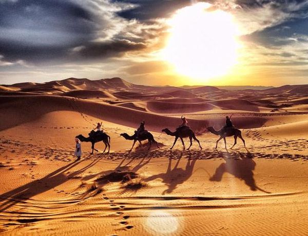 paseo camello