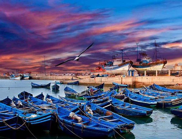 Excursión de 1 Día a Essaouira Desde Marrakech Excursion de 1 Dia a Essaouira Desde Marrakech