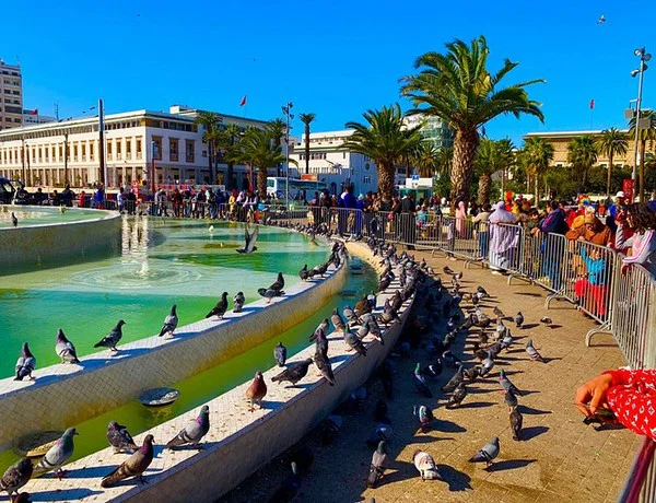 Excursión de 4 días de Casablanca a Marrakech Excursion de 4 dias de Casablanca a Marrakech